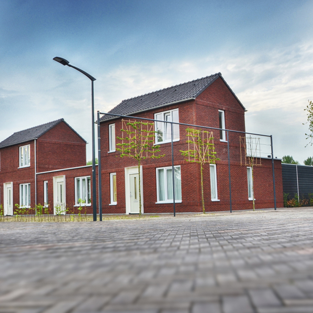 1024 1024 3 3677 0 Nl Img 7744